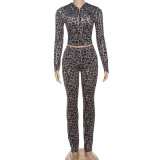 Leopard Print Hooded Sport Two Piece Pants Set DLSF-K25S82117