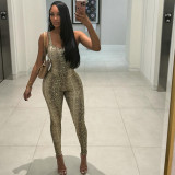 Snake Print Sleeveless Backless Bodysuit Pants Suit  XEF-K25S84267