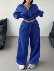 Plus Size Solid Color Zipper Loose Two Piece Pants Set GAWE-6722