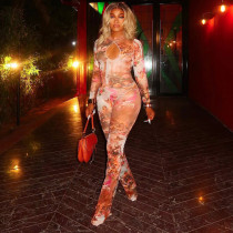 Hollow Out Print Mesh Jumpsuit MXBF-J25JP336