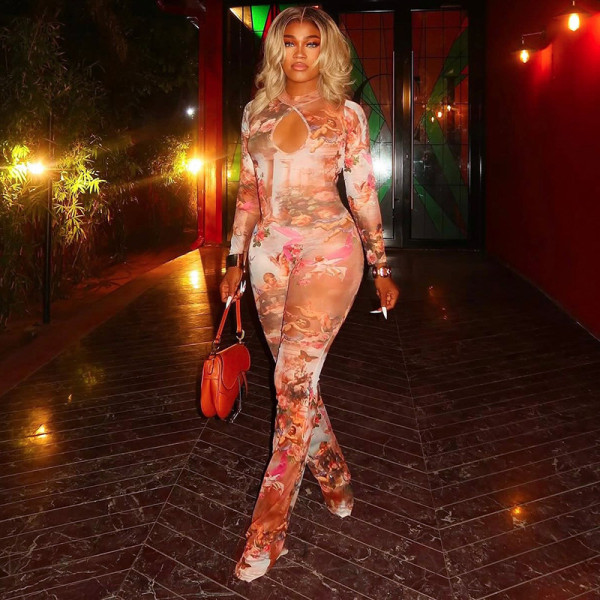 Hollow Out Print Mesh Jumpsuit MXBF-J25JP336