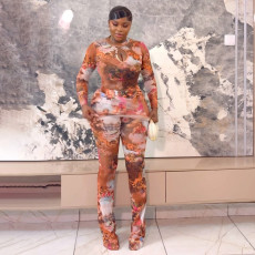 Hollow Out Print Mesh Jumpsuit MXBF-J25JP336