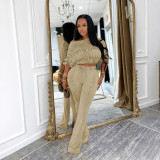 Pleated Long Sleeve Tops Micro Pant Suit GTYZ-7595