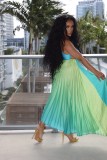 Gradient Press Pleated Maxi Dress GCYF-9575