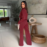 Long Sleeve Zipper Top Two Piece Pants Set YF-10921