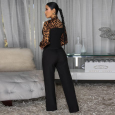 Leopard Print Tie Up Shirt Pants Suit YF-10934
