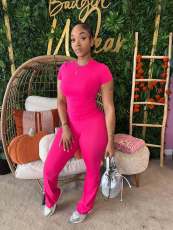 Short Sleeve Yoga Pants Suit YWXS-K25L1314