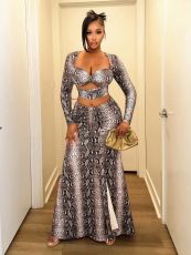 Snake Print Long Skirt Suit YWXS-K25L1249