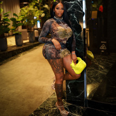 Print Long Sleeve Mini Dress XEF-K25D84681