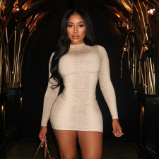 Snake Print Long Sleeve Mini Dress MXBF-J25DS369