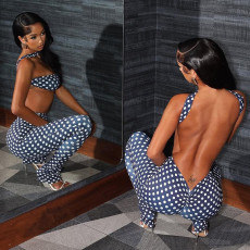 Wrap Chest Print Two Piece Pants Set GZJQ-K25S84566