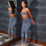 Wrap Chest Print Two Piece Pants Set GZJQ-K25S84566