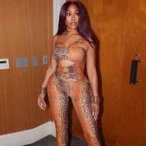 Snake Print Wrap Chest Jumpsuit GSLF-K25Q84702