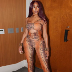 Snake Print Wrap Chest Jumpsuit GSLF-K25Q84702