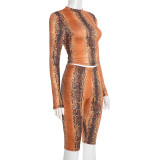 Snake Print Tight Two Piece Pants Set MXBF-J25ST354