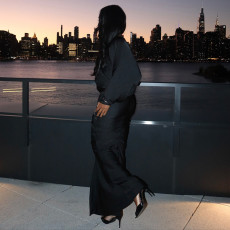 Solid Color Elegant Long Sleeve Backless Maxi Dress GSBD-Y25DS458