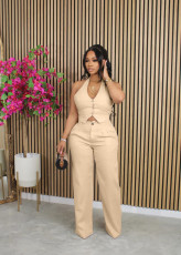 V Neck Sleeveless Vest Pants Suit SHMF-6183