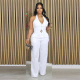 V Neck Sleeveless Vest Pants Suit SHMF-6183