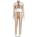 Snake Print Crop Top And Pants Two Piece Sets GSBD-J25ST344