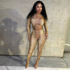 Snake Print Crop Top And Pants Two Piece Sets GSBD-J25ST344