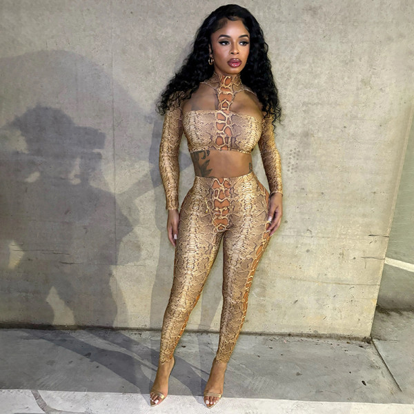 Snake Print Crop Top And Pants Two Piece Sets GSBD-J25ST344
