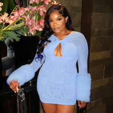 Mesh Long Sleeve Bodycon Dress GSBD-D25DS230