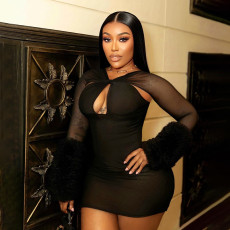 Mesh Long Sleeve Bodycon Dress GSBD-D25DS230