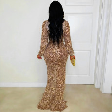 Deep V Neck Leopard Print Maxi Dress BY-7571