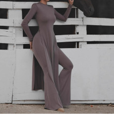 Long Sleeve Split Long Tops Flare Pants 2 Piece Set GAXB-W435ST