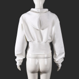 Long Sleeve Zipper Hodoed Sweatshirt GFRT-35694TBY