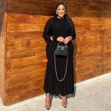 Solid Color Ruched Long Sleeve Maxi Dress GJYO-JD303290