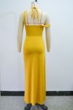 Sexy Sleeveless Solid Color Maxi Dress GANY-LB895