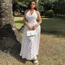 V Neck Print Big Swing Maxi Dress GANY-LB1088