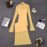 Lace See Through Long Sleeve Slim Long Dress GFRT-32428SBY