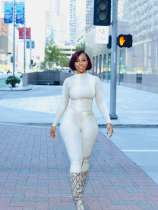 Snake Print Long Sleeve Tight Two Piece Pants Set OLYF-6193