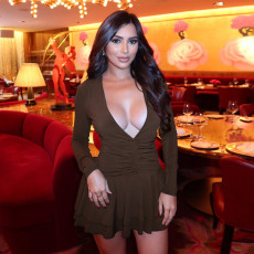 Deep V Neck Long Sleeve Mini Dress GSZM-D25DS484