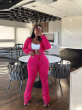Solid Color Zipper Hooded Two Piece Pants Set SFY-809