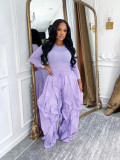Solid Color Long Sleeve Tops Loose Pants 2 Piece Set SFY-814