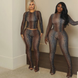 Snake Print Long Sleeve Tight Pant Suit XEF-K25S86814