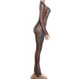 Snake Print Long Sleeve Tight Pant Suit XEF-K25S86814