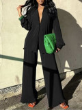 Casual Solid Color Loose Two Piece Pants Set ZDF-33118