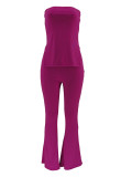 Solid Color Tube Tops Two Piece Pants Set ZDF-31359