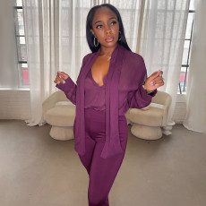 Solid Color Mesh Two Piece Pants Set GDSF-D25ST518