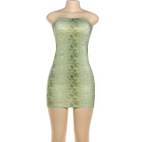 Snake Print Tube Top Dress GSLF-K25D86114