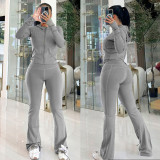 Long Sleeve Zipper Hooded Sport Pants Suit SH-391390