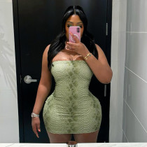 Snake Print Tube Top Dress GSLF-K25D86114