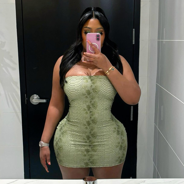 Snake Print Tube Top Dress GSLF-K25D86114