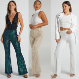 Plus Size Fashion Sequin Flare Pants GYOM-8916