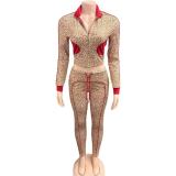 Leopard Print Contrast Color Two Piece Pant Set GQNF-Y00266SC