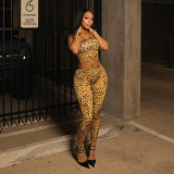 Leopard Print Wrap Chest Tops Two Piece Pants Set GDSF-D25ST538